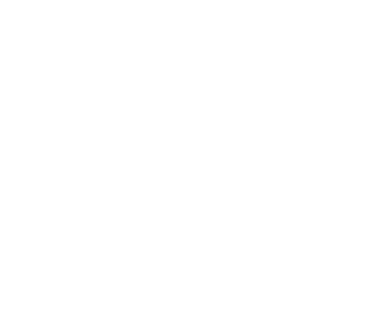 Four years ago, partners in government, philanthropy, community and the private sector came together to pilot a program in geographic School District 30--across Long Island City, Sunnyside, Woodside, Corona, Jackson Heights, Astoria, and East Elmhurst.
