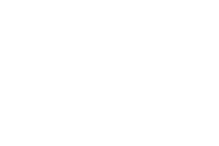 Here we have documented the evolution and early results of our work in a series of written briefs and stories that illustrate the core components, or Pillars, of the Save for College Program approach.